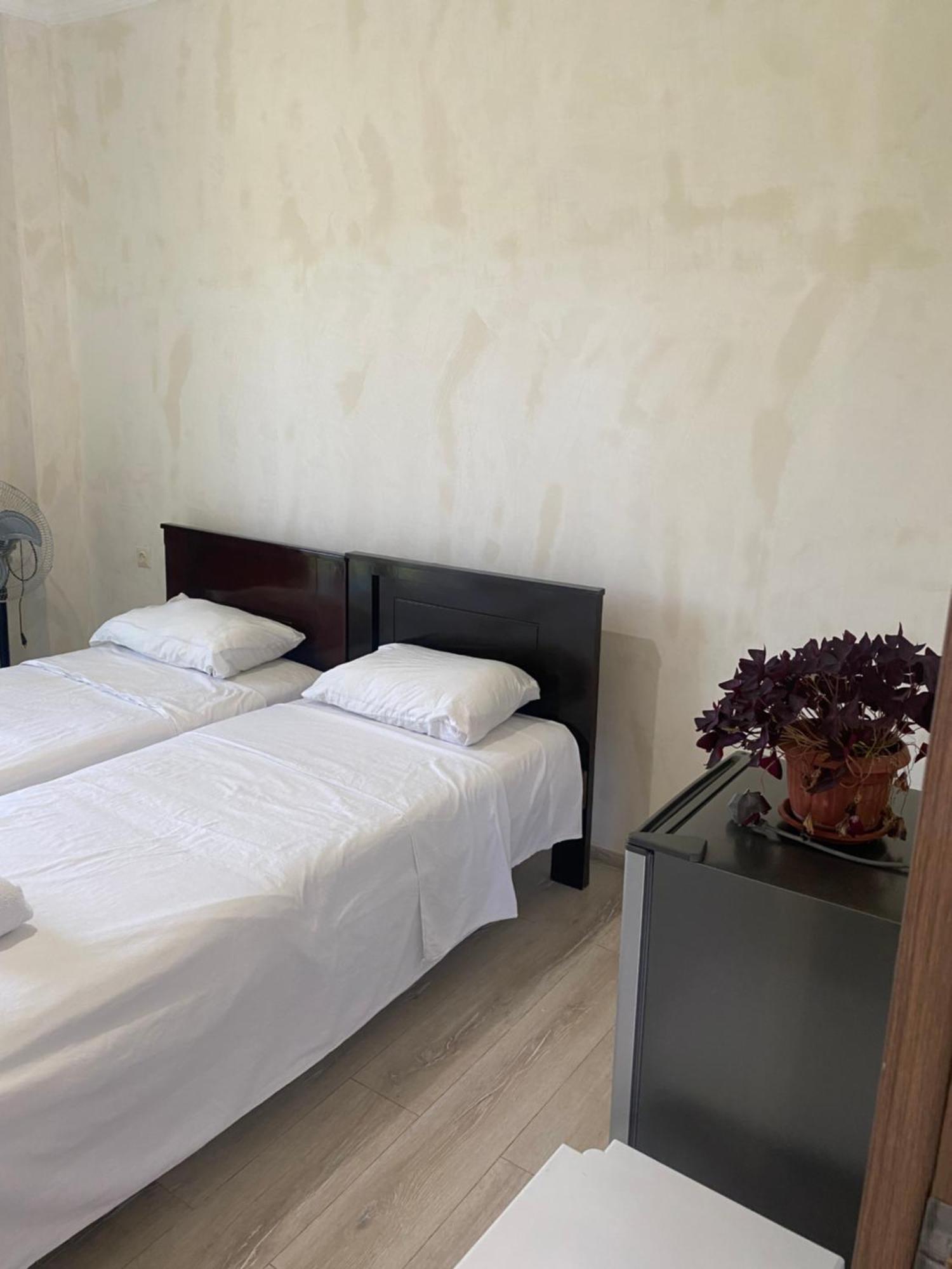ציחיסדזירי Family Hotel Our House מראה חיצוני תמונה